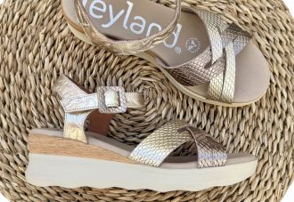 Leyland 5912 Champan.