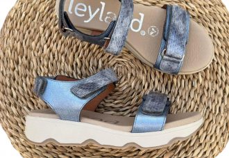 Leyland 5511 cianita.